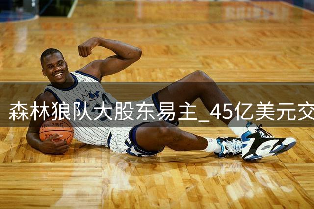 森林狼队大股东易主 45亿美元交易创纪录